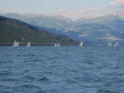 Régate d&#039;entraînement n°7 - 2009